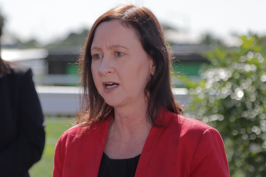 Queensland Health Minister Yvette D'Ath speaks at a media conference in Brisbane