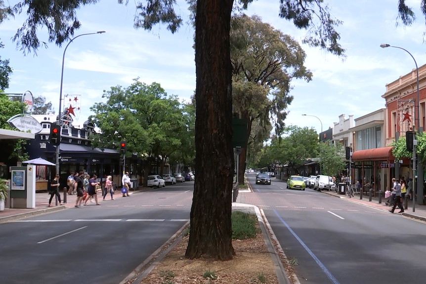 A main street with shops on the sides and trees in the middle