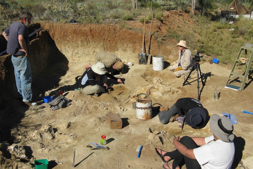 Working in main pit at the Alcoota dig site in Central Australia