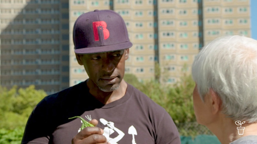 Man wearing a hat and holding a plant listening to a woman talk