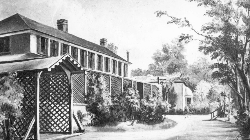 Old Government House from Macquarie Street