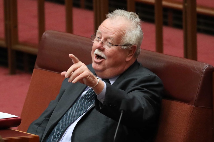 Barry O'Sullivan speaks at the Senate.