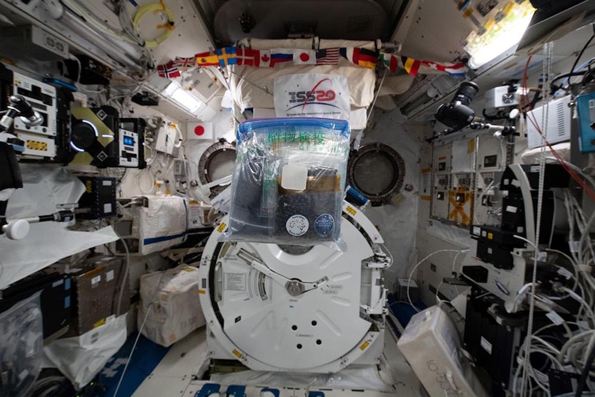 A bag of seeds floats in the air in zero gravity inside the International Space Station.