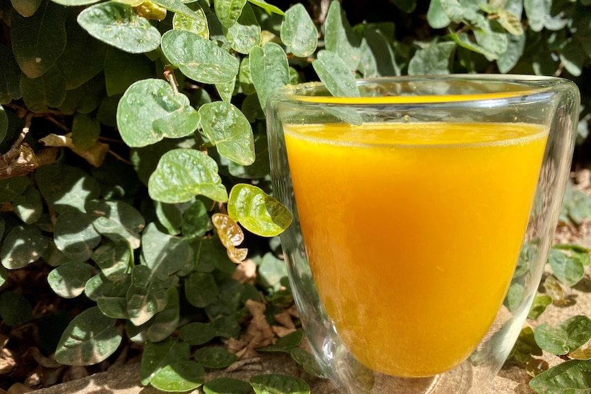 A glass of fresh orange juice in a glass amid some green leaves.