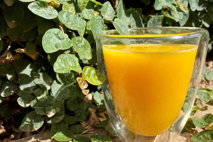 Fresh, no added sugar orange juice