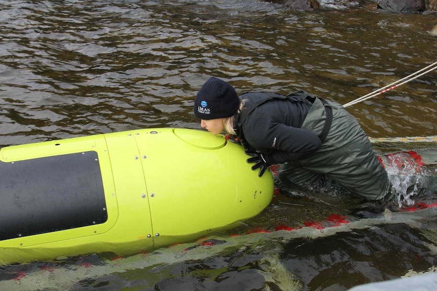 Erica Spain launches the AUV