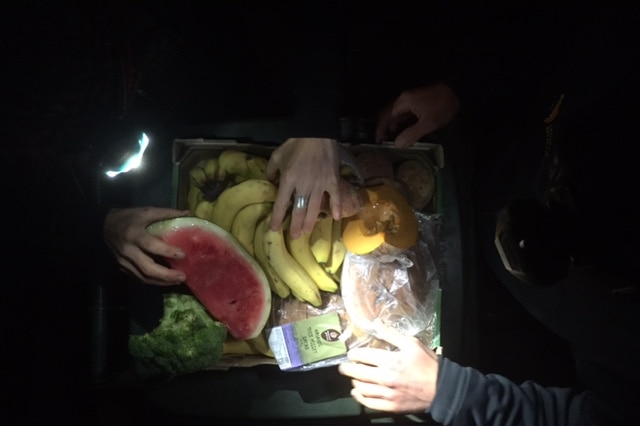 Food collected from bins in a box