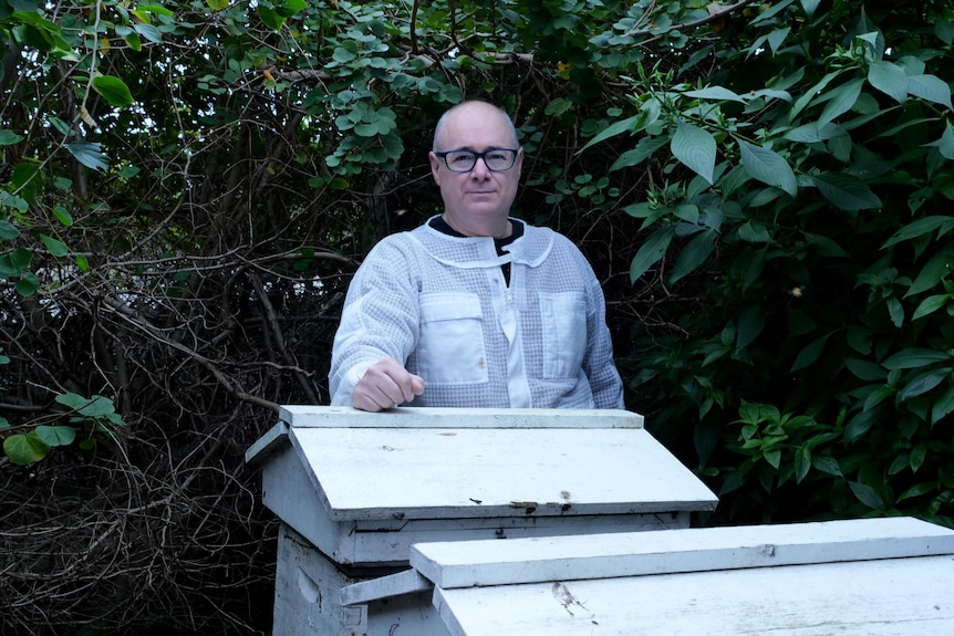 Man standing with bee hives