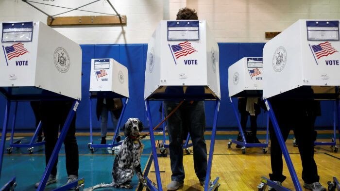 Warga AS memberikan suara bersama anjingnya di pemilu sela