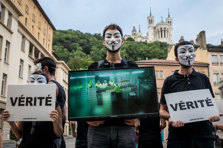 A Cube of Truth event in Lyon, France, in July 2018
