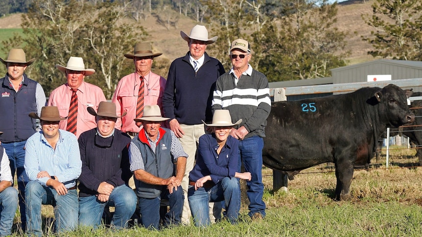 A group of smiling people wearing hats pose near a large bull.