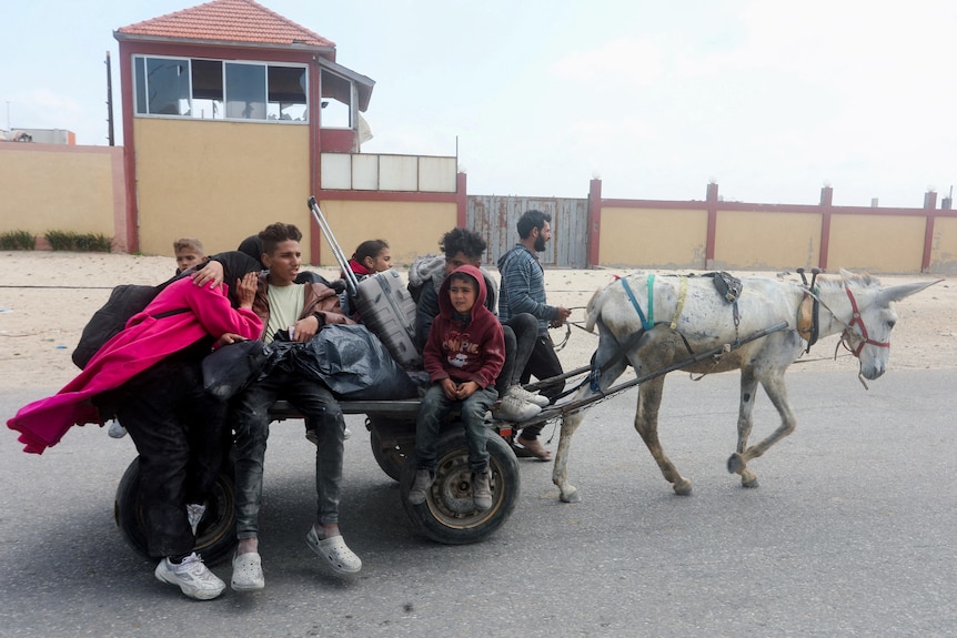 Family flees on a donkey and cart 