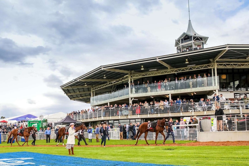 A horse racing track with horses walking past with a huge crowd in a building behind.