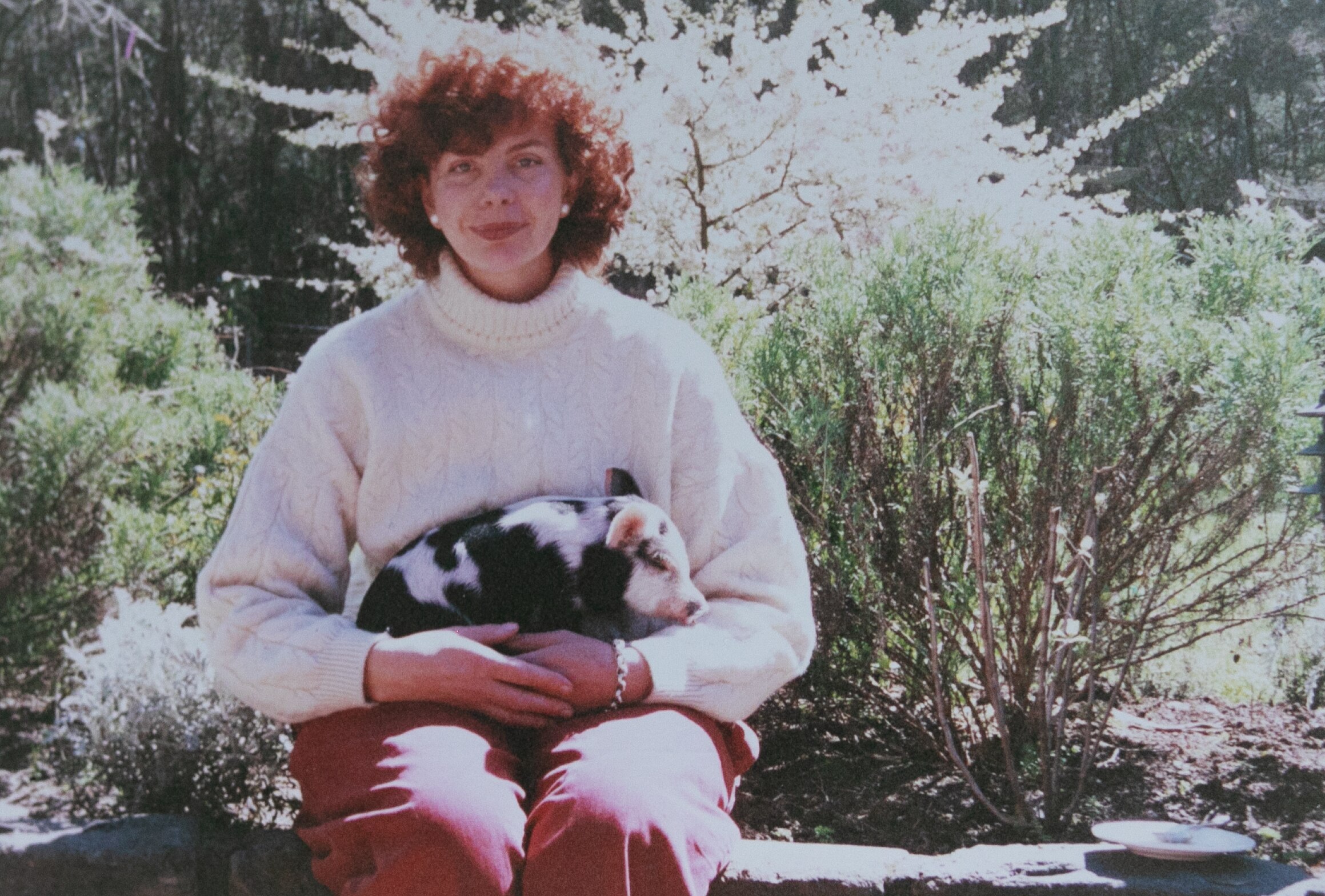 A woman with curly red hair sits on a concrete bench cradling a little black and pink piglet