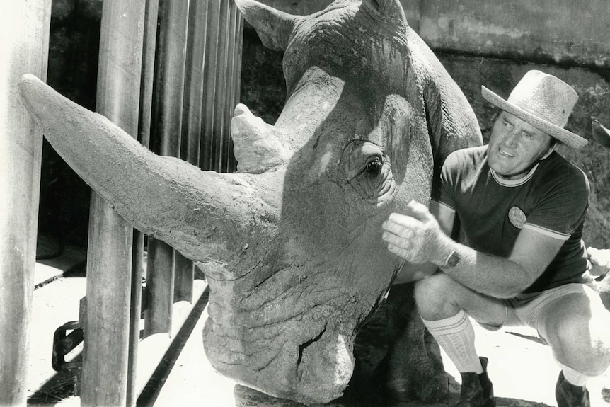 Rhino at Taronga Zoo