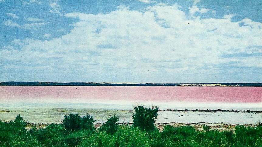 Pink Lake near Esperance in the 1970s.