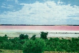 A grainy historic photo of a lake shows its surface as being a bright bubblegum-pink colour.