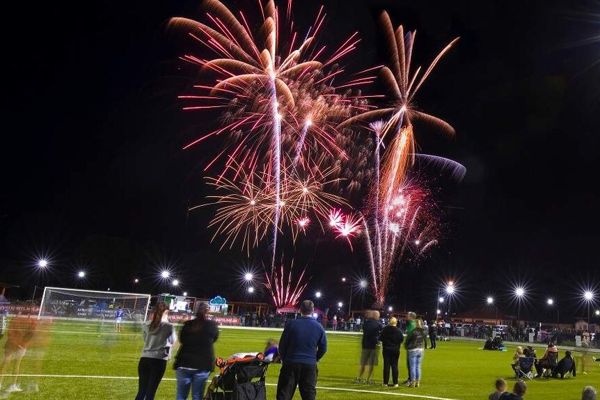 Families stand spread out on a grass soccer pitch, watching pink and orange coloured fireworks explode in the black sky