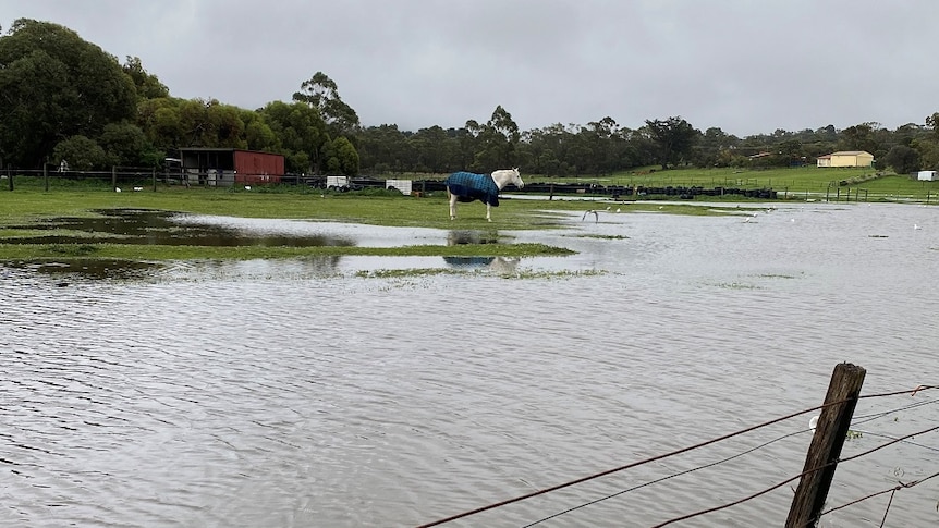 A paddock under water in southern Tasmania