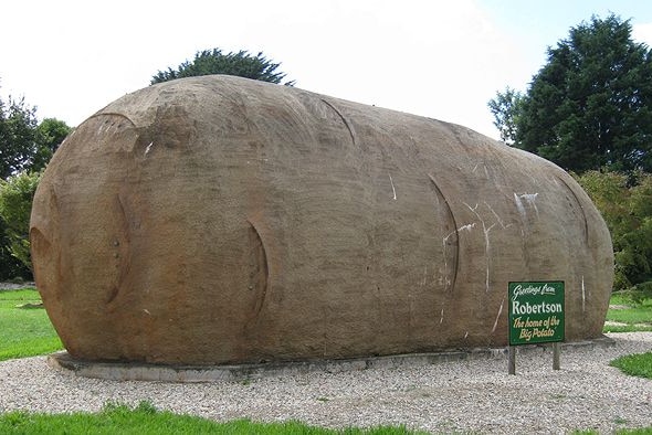 A 10 metre by 4 metre public sculpture of a brown potato lying on its side, with a sign 'Big Potato'.