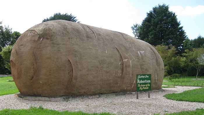 A 10 metre by 4 metre public sculpture of a brown potato lying on its side, with a sign 'Big Potato'.