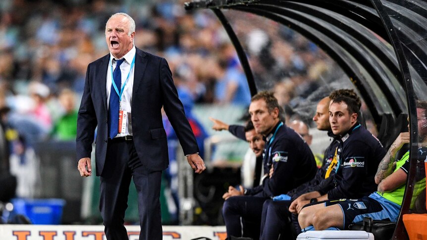 Sydney FC coach Graham Arnold reacts in match against Newcastle Jets