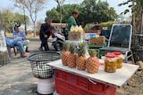 中国禁止台湾菠萝后，台湾的菠萝种植者正在寻找其他市场。