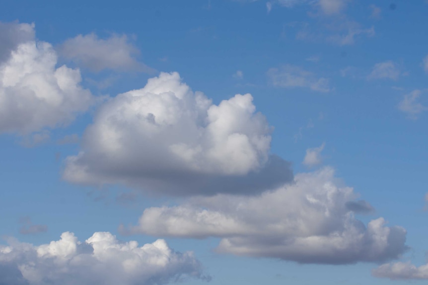 A cumulus cloud formation