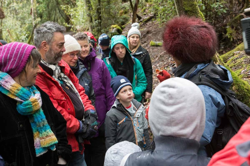 Tourist group on a fungi tour