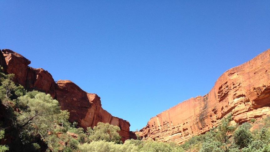 Pair found in Kings Canyon