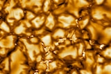Cells on the sun burn in a golden colour.