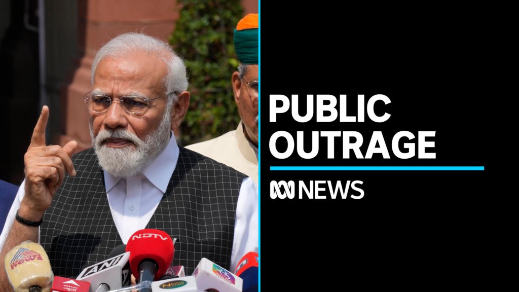 Evidence of live baiting in greyhound racing industry ABC News