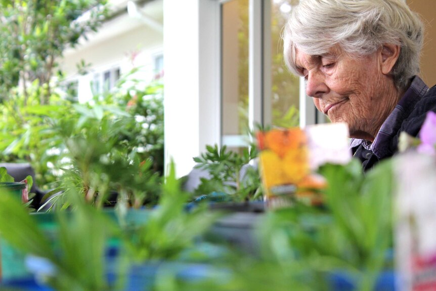 Dementia patient Dianna sits at dozens of seedlings sitting on top of the table.
