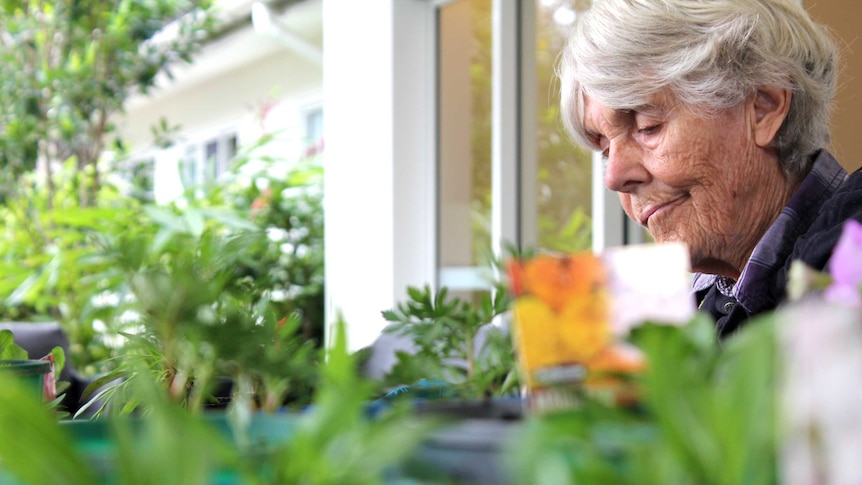 Dementia patient Dianna sits at dozens of seedlings sitting on top of the table.