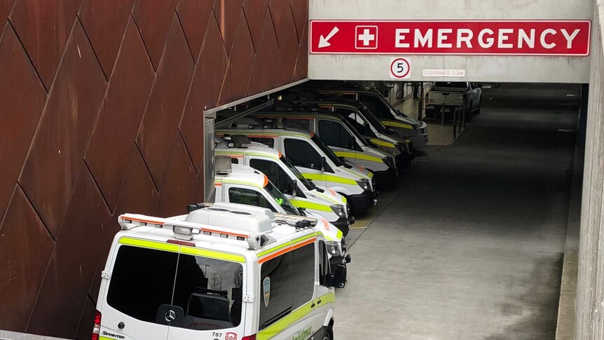 A line of ambulances at the Royal Hobart Hospital.