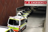 Ambulance ramping at the Royal Hobart Hospital