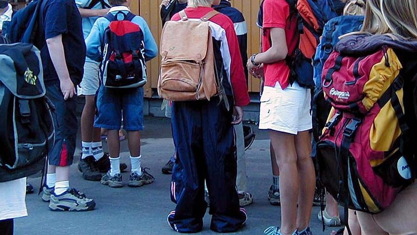 Primary school students stand about