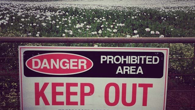 A sign warns trespassers to keep out of a poppy field in Tasmania.