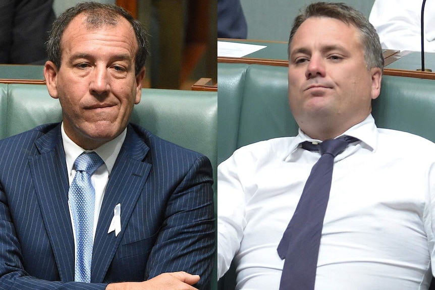 Jamie Briggs resigned from the frontbench and Mal Brough stood aside pending the outcome of an investigation.