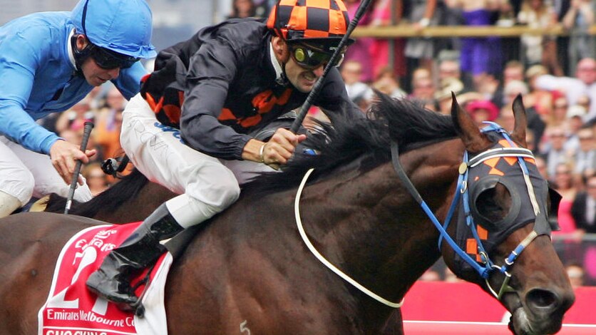'Progressive type'... Shocking wins the Melbourne Cup.