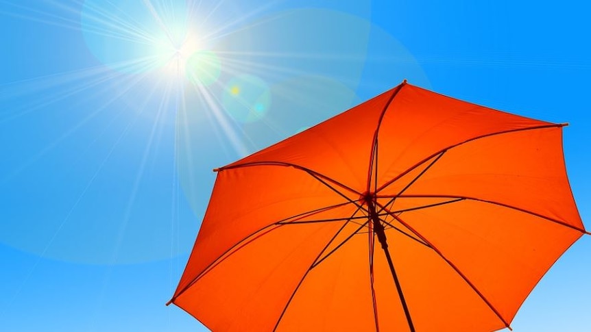 Picture of a big orange umbrella against a blue sky