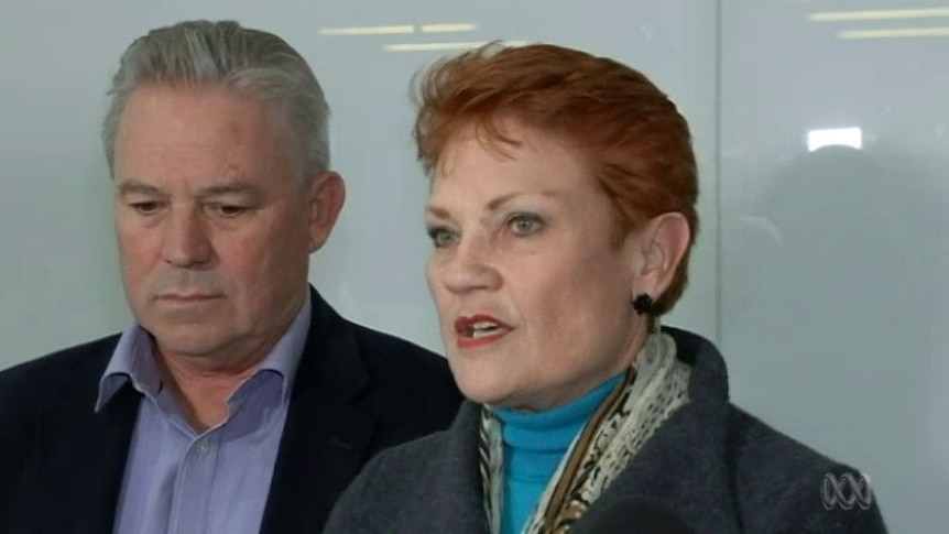 Pauline Hanson on the bank levy