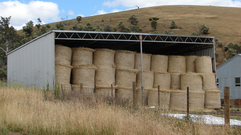 Farm shed full of haybales