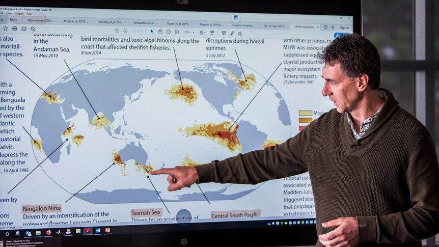 Alistair Hobday pointing to a map of marine heatwaves.