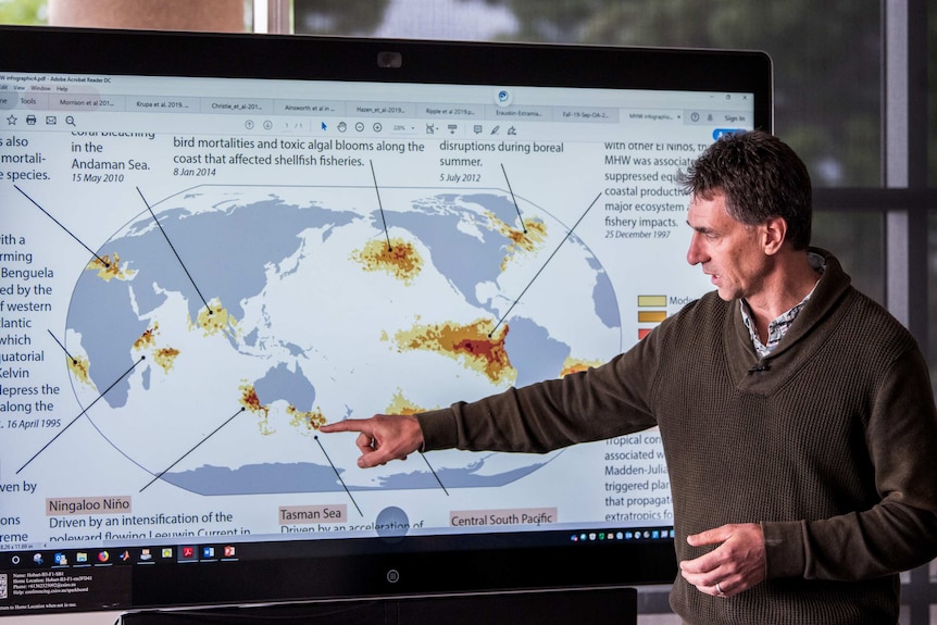 Alistair Hobday pointing to a map of marine heatwaves.