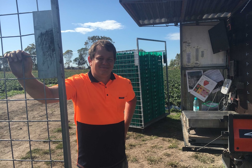 Tim Carmody stands in front of the strawberry weighing station he works at, with the field behind him.