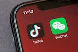 Icons for the smartphone apps TikTok and WeChat are seen on a smartphone screen