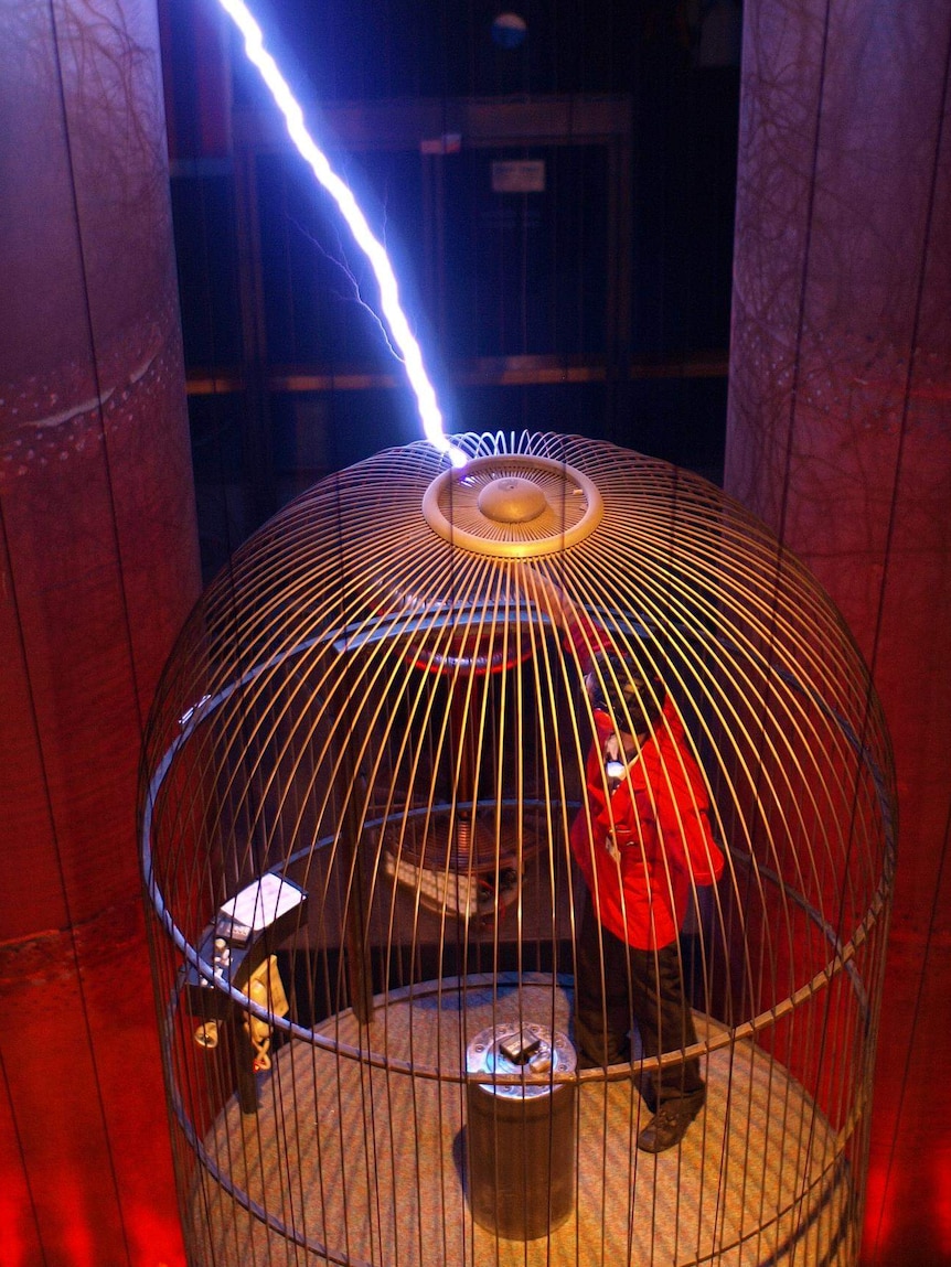 A Faraday cage in action