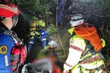 Emergency Services assisting the SES to rescue a person from flood waters