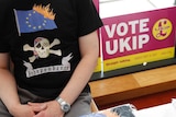 A UKIP supporter